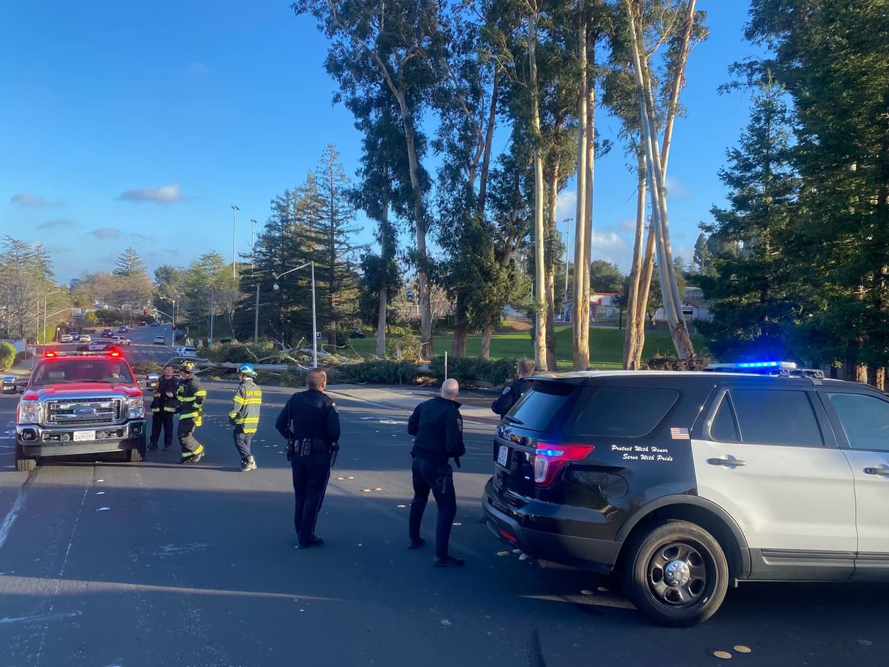 La Policía de San Mateo informó que dos eucaliptos en la preparatoria Aargon High School cayeron sobre la calle aledaña el campo de beisbol. La avenida Alameda de las Pulgas, entre Sonora Drive y Aargon Boulevard, se encuentra cerrada a la circulación.