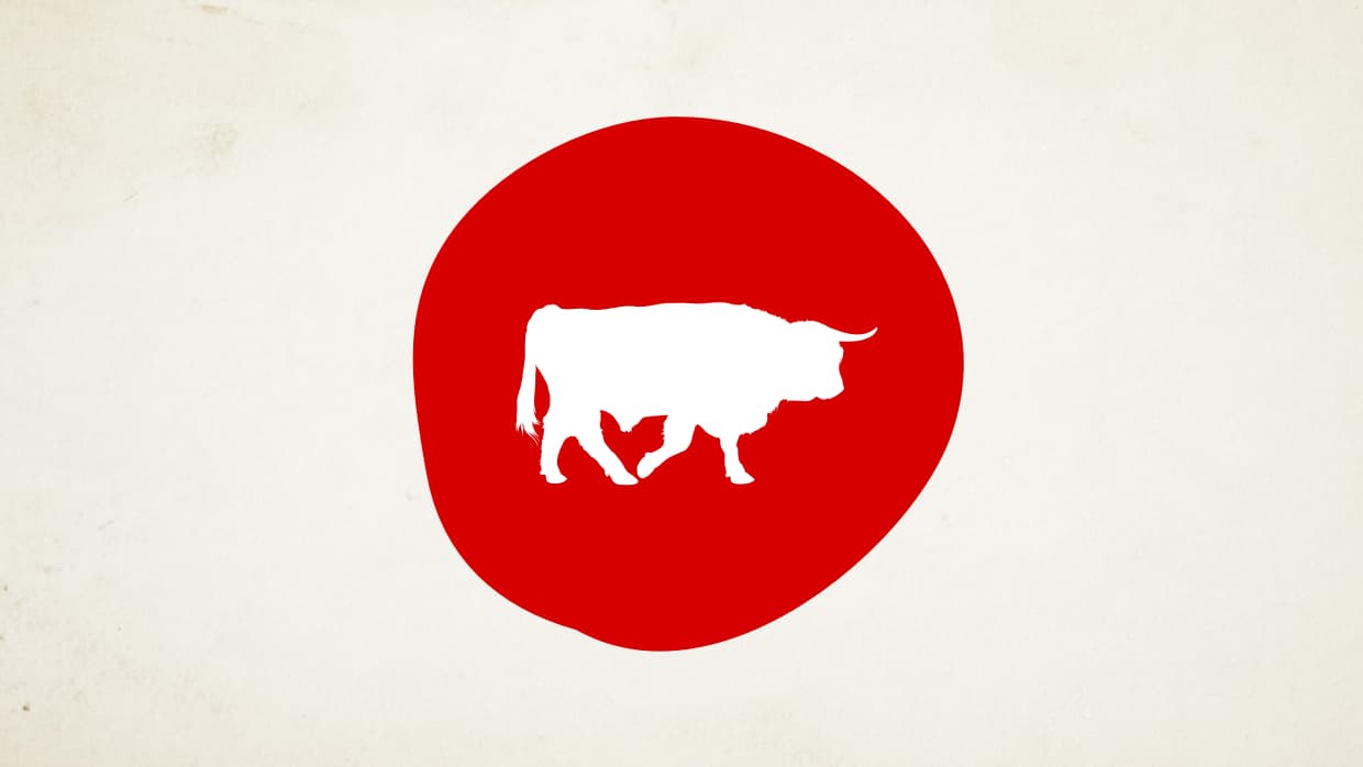 <b>El Buey en el Año del Gallo de Fuego (Los nacidos en 1937, 1949, 1961, 1973, 1985, 1997, 2009)</b>
<br>
<b>Atiende tus negocios y propiedades</b>
<br>En este Año del Gallo de fuego no vayas a comprometer tu felicidad y estabilidad sentimental enredándote en situaciones que podrían causar celos a tu pareja sobre todo si estás pasando demasiado tiempo con alguna persona en una sesión de conversación o charla en tu computadora. Este es un ciclo de mucho ajetreo y si no te sientes en el mejor estado de salud corres el riesgo de dispersar tu energía y agotarte si sales a la calle innecesariamente. Una noticia asociada con un pago atrasado llegará en el mejor momento, cuando más lo necesites y mejor puedas emplearlo. El Gallo de Fuego trae alegría y prosperidad.
<br>