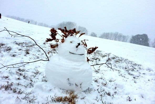 Esta foto de Payito M. V. muestra la decoración, de ramas de árbol, a modo de pelo en este muñeco de nieve. (Foto tomada de Twitter).