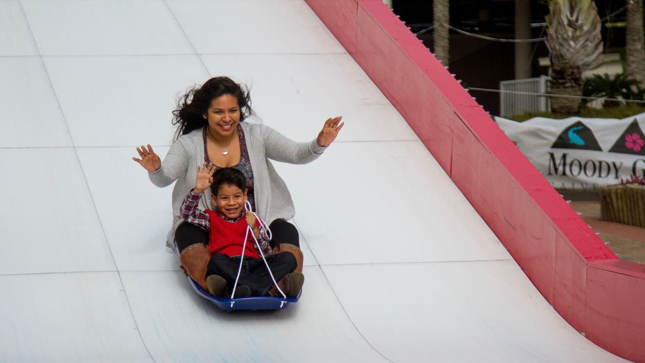 Los visitantes al 
<a href="https://www.univision.com/local/houston-kxln/ya-viene-el-espectacular-festival-de-luces-navidenas-del-moody-gardens-en-galveston">Moody Gardens</a> pueden elegir entre una selección de películas navideñas en el MG 3D Theatre y Rudolph 4D en el 4D Special FX Theatre.