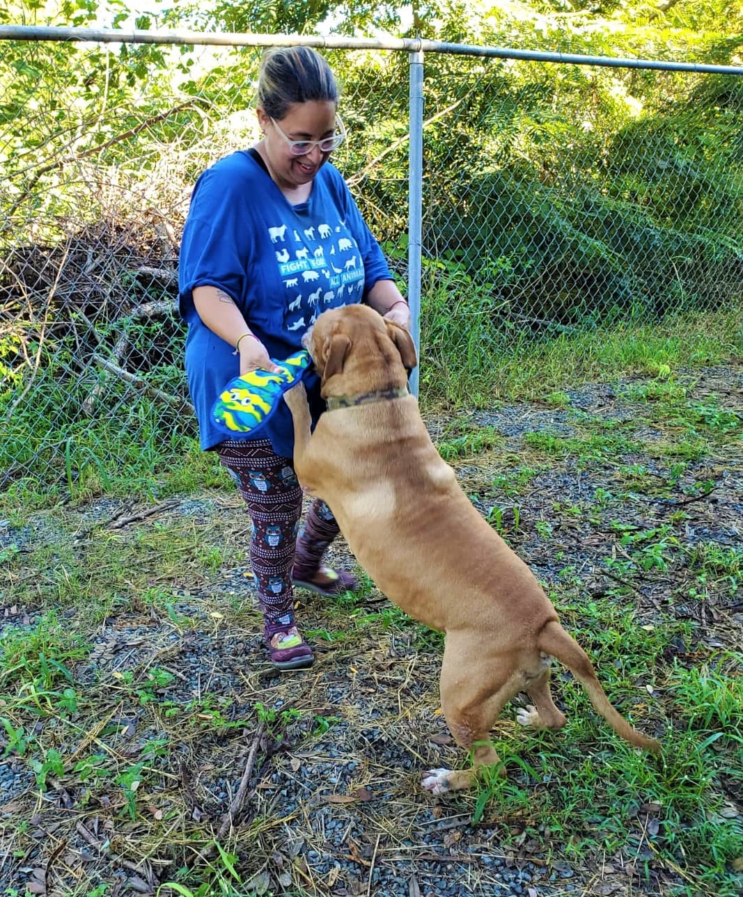 “En Sasfapr damos gracias por el apoyo que recibimos de parte de personas de gran corazón que creen en nuestro trabajo. Esas personas son quienes hacen posible nuestra labor, son quienes hacen posible la rehabilitación de estos animales y que puedan tener una segunda oportunidad de vida junto a una familia”, expresó la presidenta y directora ejecutiva del Sasfapr, Dellymar B. Bernal Martínez.