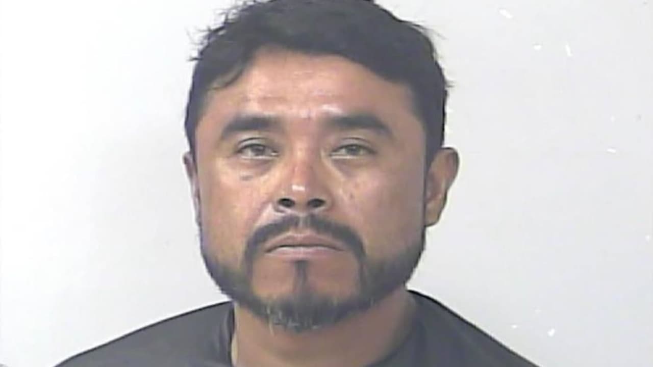 Hombre es acusado de matar a dos perros en un "acto de crueldad": estaban colgados del cuello con cables y cadenas