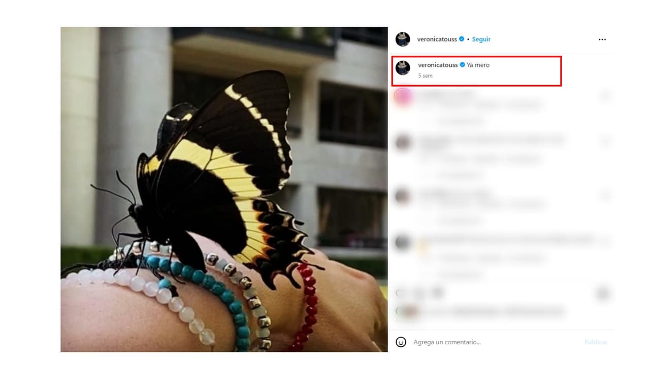 La fotografía que Verónica Toussaint publicó antes de morir.