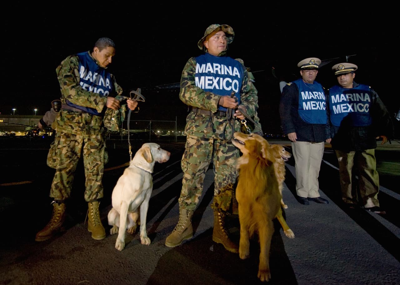 Usan perros entrenados para vigilar a "El Chapo"