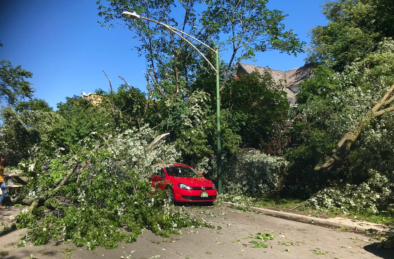 Esta imagen de Rogers Park muestra los daños causados por las tormentas en esta área.