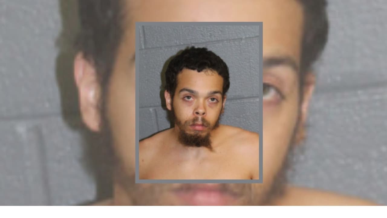 Su madre le envió un mensaje de texto para que "creciera y buscara un trabajo"   y la apuñaló nueve veces 