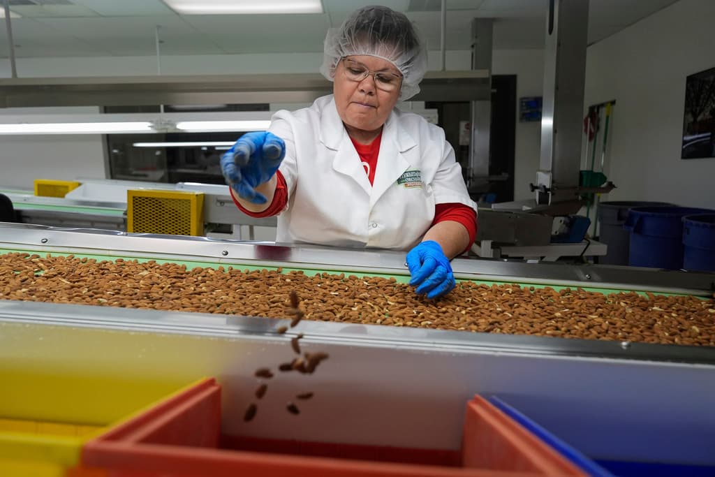 California obtuvo $4.7 mil millones en exportaciones de almendras en 2022, según datos de State Farm.