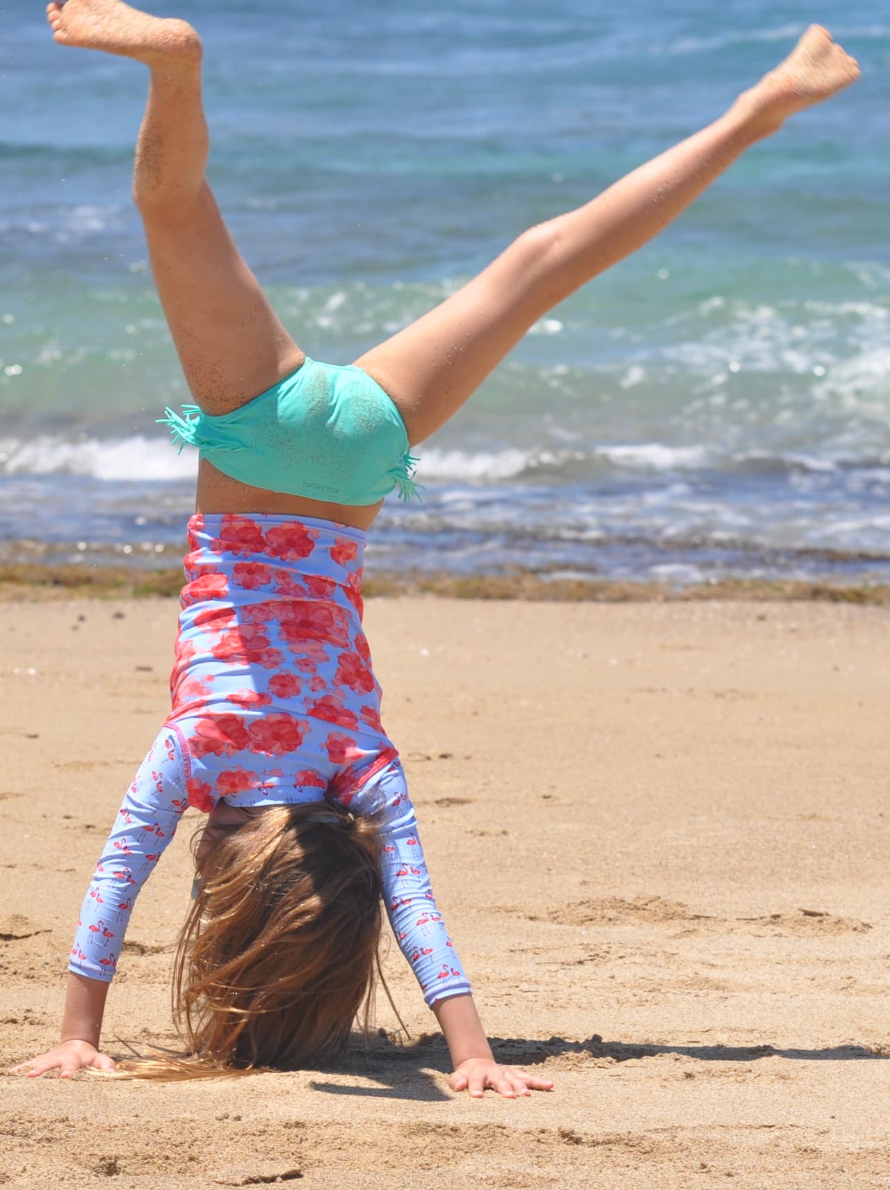 Bibiana Ferraiuoli: Hope is the thing with feathers - that perches in the soul (Emily Dickinson)