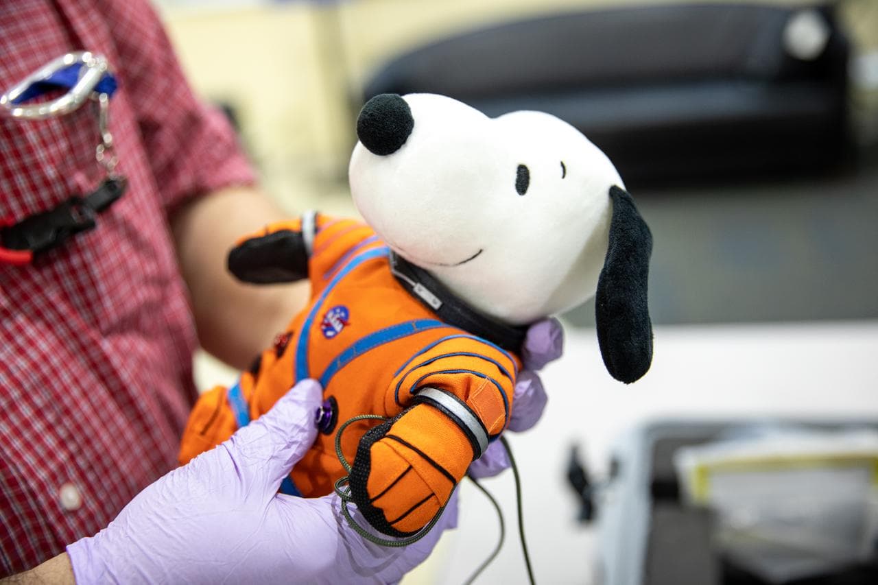 El famoso perro de Charlie Brown fue el indicador de gravedad cero en el interior de la cápsula Orion.