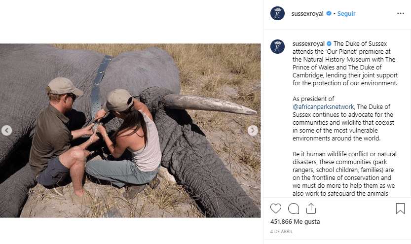 A principios de abril publicaron esta fotografía de su viaje en 2017, donde se les ve colocar un collar de navegación a un paquidermo que fue dormido durante 10 minutos, según se indicó al pie de la imagen.