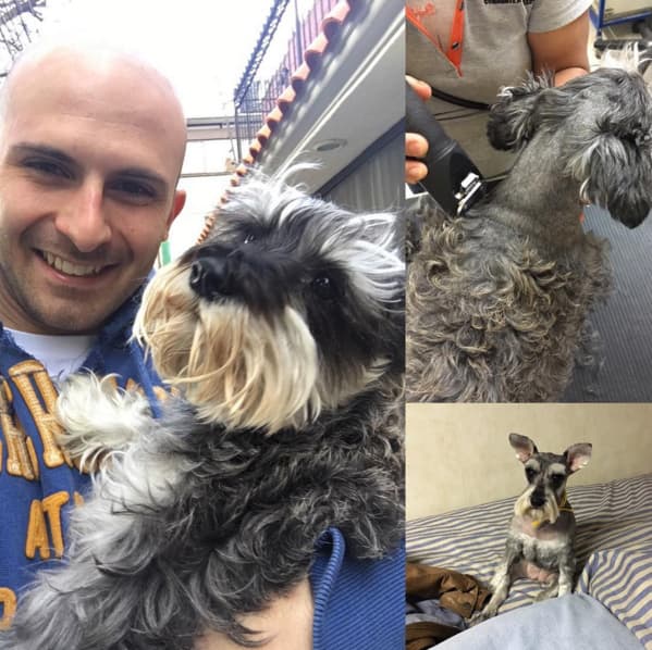 Es su adoración, desafortunadamente tiene que usar andadera en sus patitas traseras para poder moverse.