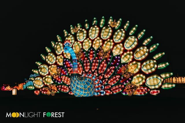 El festival presenta 60 exhibiciones de arte de linterna más grandes del mundo hechas a mano por artesanos de la provincia China de Sichuan.