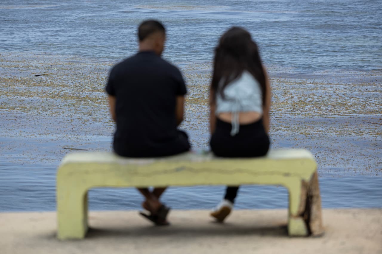 <b>La necesidad de una estrategia caribeña conjunta: </b>Expertos y ambientalistas urgen a los gobiernos del Caribe a coordinarse en investigación, monitoreo y manejo del sargazo, pues enfrentarlo de forma aislada ha demostrado ser ineficaz.
<br>