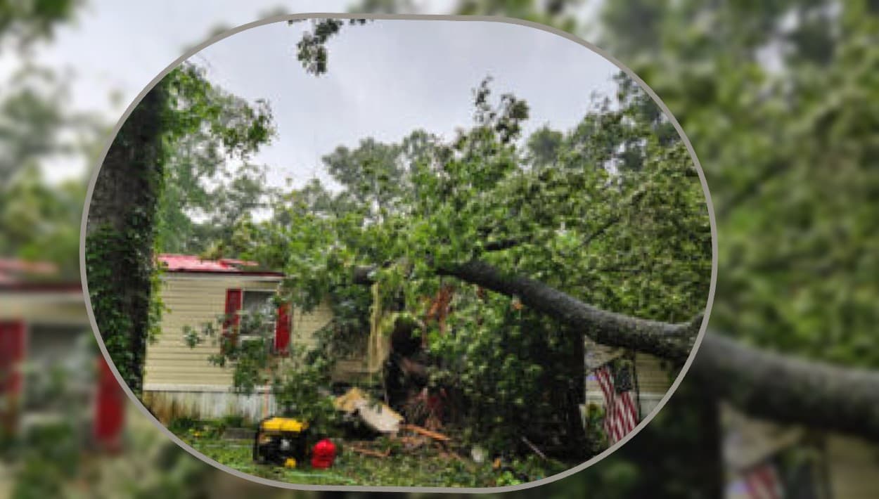 A las 8:00 a.m., se reportó una segunda muerte. Un adolescente de 13 años sufrió heridas mortales cuando un árbol cayó sobre la casa móvil que habitaba con su familia. Los fuertes vientos que trajo el huracán Debby a la región de Big Bend, en Florida, tumbaron decenas de árboles, pero no se había reportado una tragedia como esta de Fanning Springs.