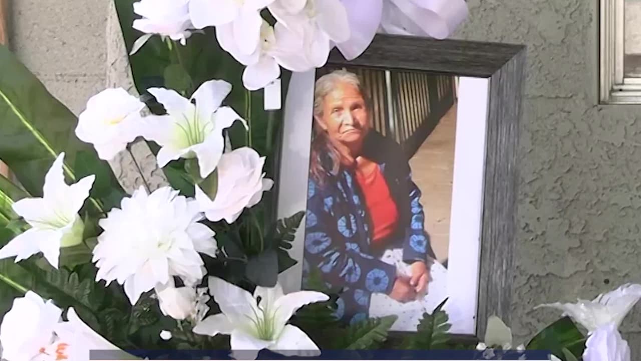 "Nadie merece morir así": a una abuela la mataron los perros de su vecino y ahora su familia exige justicia