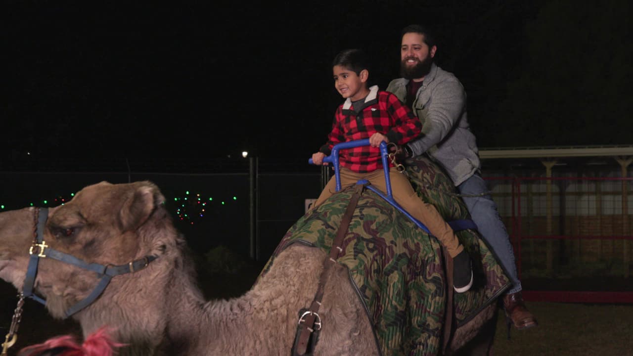 Este año, se han agregado a la decoración un nuevo túnel de luz de 124 pies y dos nuevos árboles navideños de 32 pies que bailan al ritmo de las luces y la música.
<br>
<br>Water Wonderland es otra nueva incorporación a Zoo Lights y contará con medusas iluminadas y criaturas marinas.