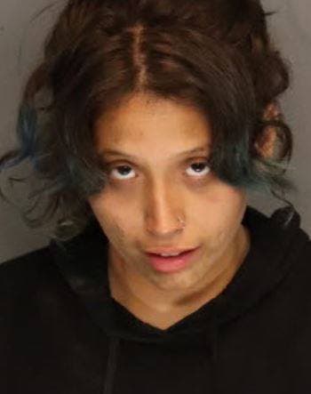 Hernández fue enfrenta cargos de vandalismo, blandir un arma, robo y obstrucción del trabajo de un oficial. 
<br>