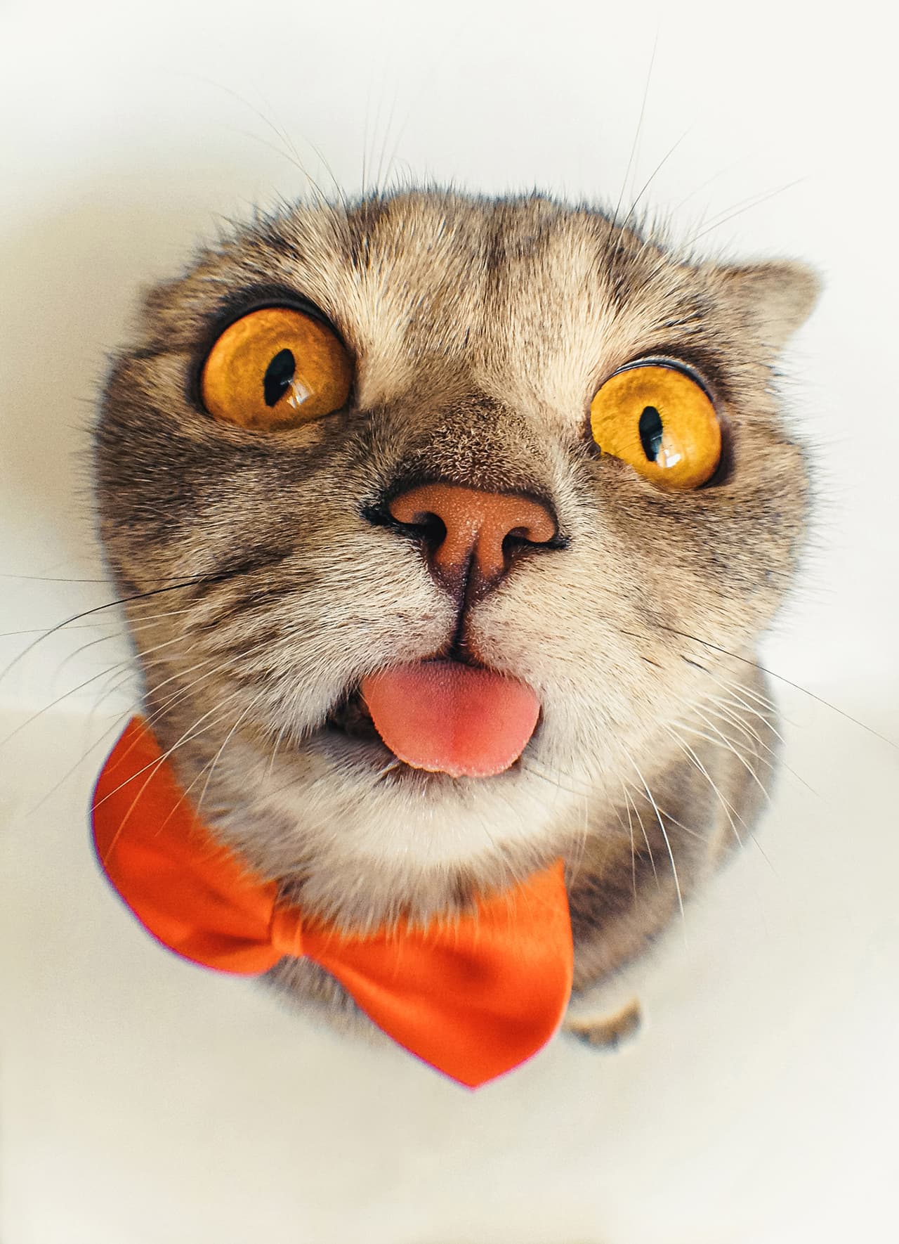 Por eso es tan famosa en las redes sociales.