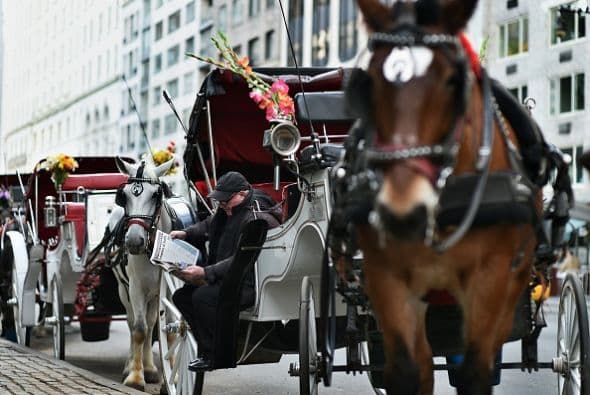 Nueva York propone prohibir los carruajes de caballos en la ciudad.