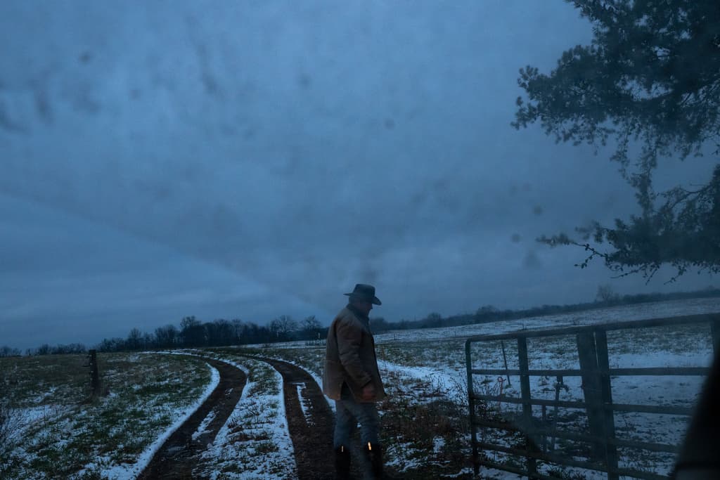 Josh Pyles, que forma parte de un programa cooperativo que ayuda a los agricultores locales a permanecer en sus granjas y, a su vez, fortalece las comunidades rurales, abre una puerta para revisar un rebaño de ganado en el condado de Henry, Kentucky, el sábado 13 de diciembre de 2025.
