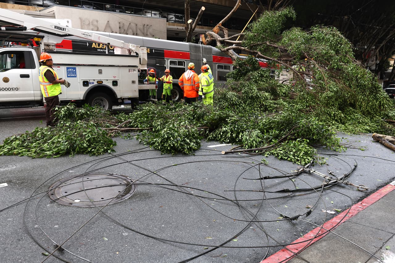 Qué hacer para evitar tragedias ante la caída de árboles y cables de alta tensión durante las tormentas