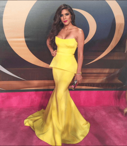 Francisca tiene una reconocida carrera como conductora de televisión de diversos programas, entre los que se distingue ¡Despierta América!, programa matutino del que ha sido parte desde 2015.