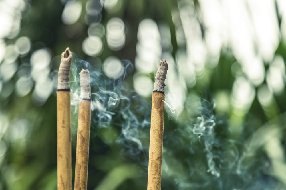 Prende tu varita de incienso de sándalo y ahora haz el mismo recorrido por toda tu casa, como hiciste con tu instrumento musical, pasando de habitación a habitación. Vamos a limpiar la energía de todos lados.