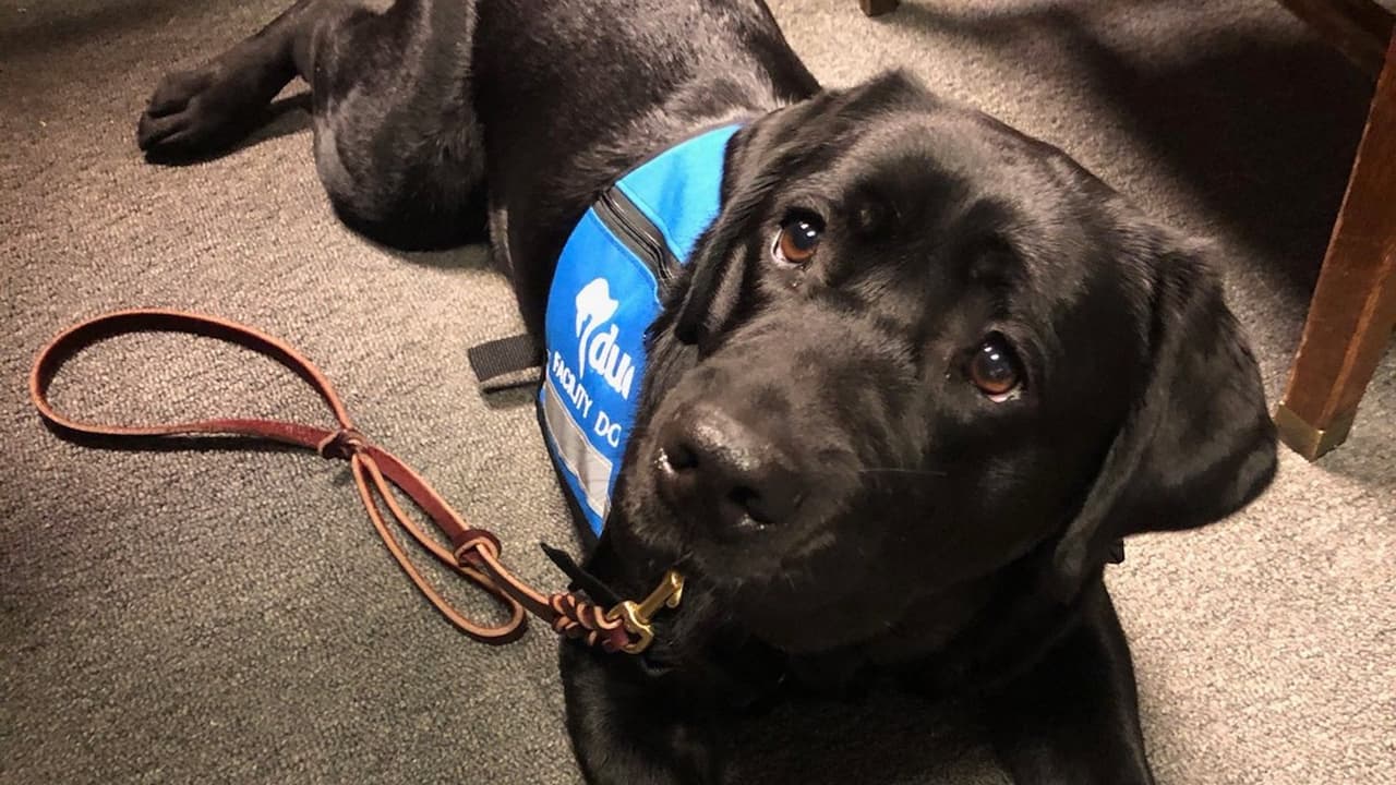 Labrador hizo juramento en la oficina de la fiscalía del estado en Chicago