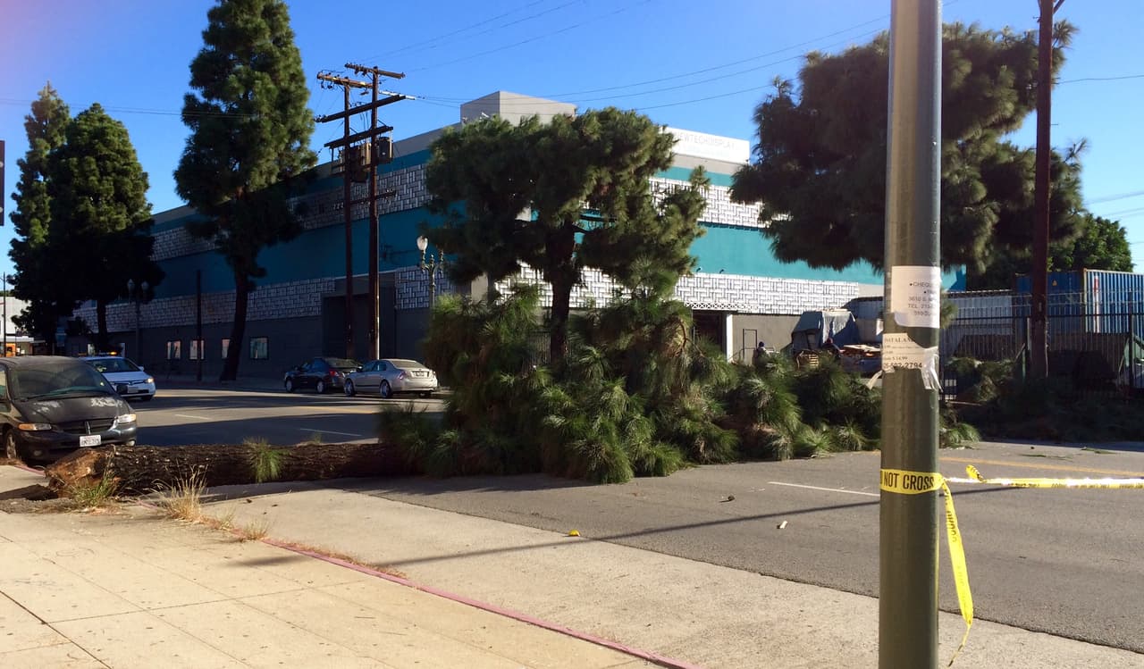 Residentes del sur de California dieron inicio a la semana con la presencia de fuertes vientos que derribaron árboles, causaron estragos y ocasionaron apagones eléctricos.