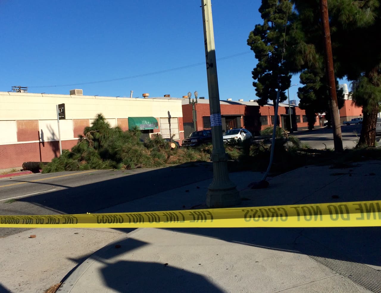 Residentes del sur de California dieron inicio a la semana con la presencia de fuertes vientos que derribaron árboles, causaron estragos y ocasionaron apagones eléctricos.