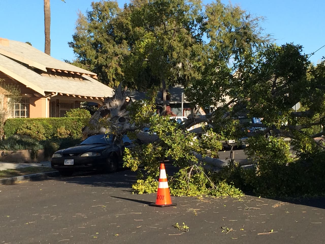 Residentes del sur de California dieron inicio a la semana con la presencia de fuertes vientos que derribaron árboles, causaron estragos y ocasionaron apagones eléctricos.