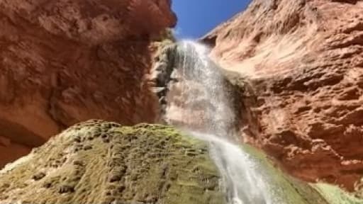 Si usted y su familia planean visitar el Gran Cañón durante las vacaciones de primavera, aquí le tenemos algunas recomendaciones para hacerlo de forma segura durante la pandemia.