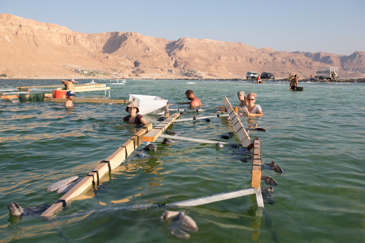 El Mar Muerto, ubicado entre Israel y Jordania es el punto más bajo que existe en el planeta una vez que está a 1368 pies (417 metros) por debajo del nivel del mar. Esa condición hace que sea la mayor concentración de sal del mundo, (tiene algo así como 340 gramos por litro de agua) y justamente ese nivel de salinidad impide la vida.