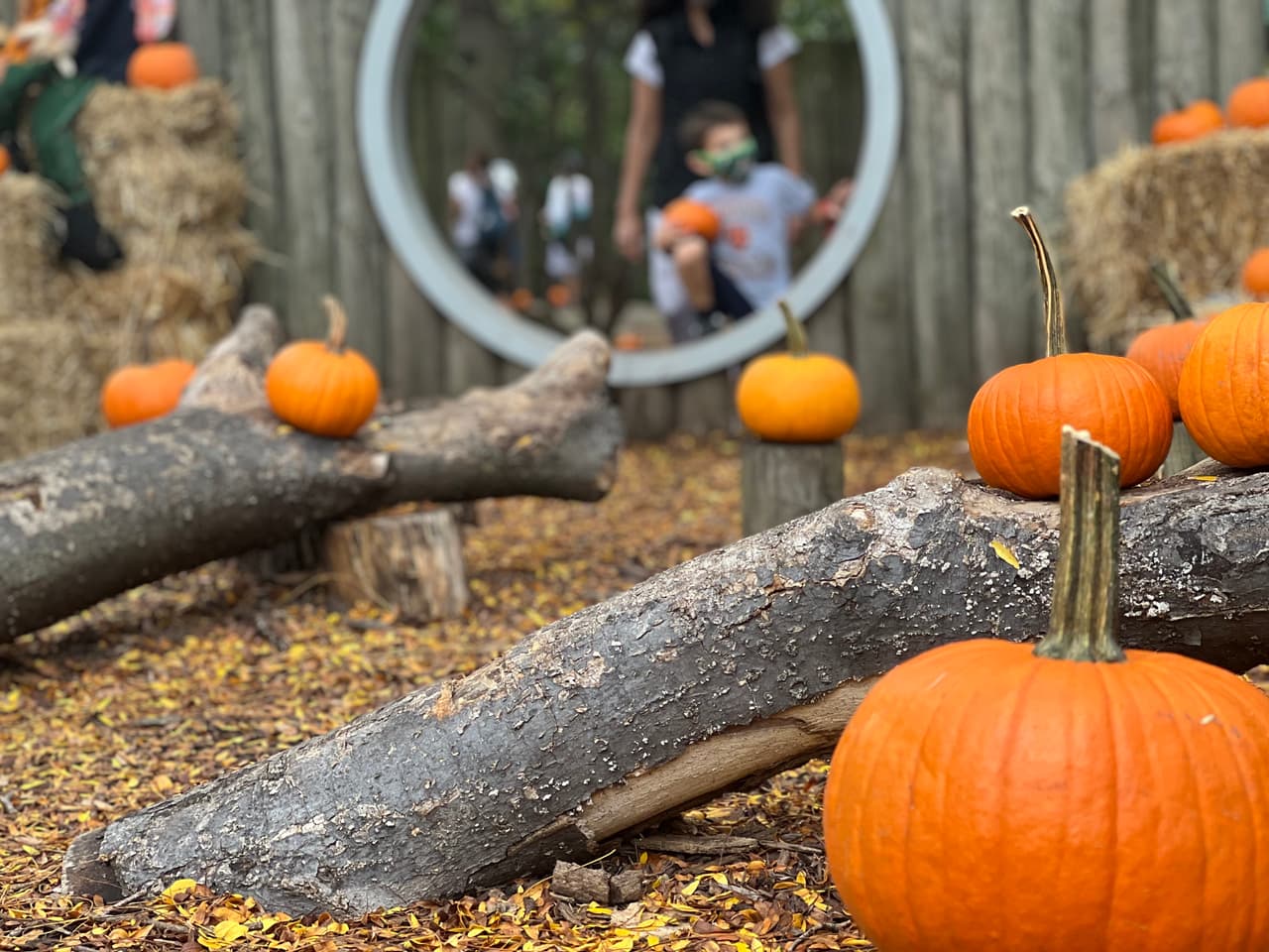 <h3 class="cms-H3-H3">Festival de la calabaza en Unity</h3>
<br>Unity Park, 2636 N. Kimball Ave.
<br>
<b>Sábado 23 de octubre</b>
<br>
<b>10:00 a.m .-- 2:00 p.m.</b>
<br>¡Todas las edades!
<br>¡Reserva la fecha para el Pumpkin Fest! ¡Ven por las calabazas y quédate a divertirte! Pumpkin Fest trae a las familias a Unity Park para un día de música, comida y eventos de Halloween GRATIS. 
<a href="https://www.chicagoparkdistrict.com/index.php/events/pumpkin-fest-unity" target="_blank">Regístrate aquí</a>.