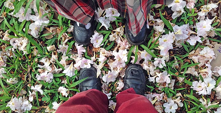 Cuatro estrategias para que tus hijos manejen el acoso escolar