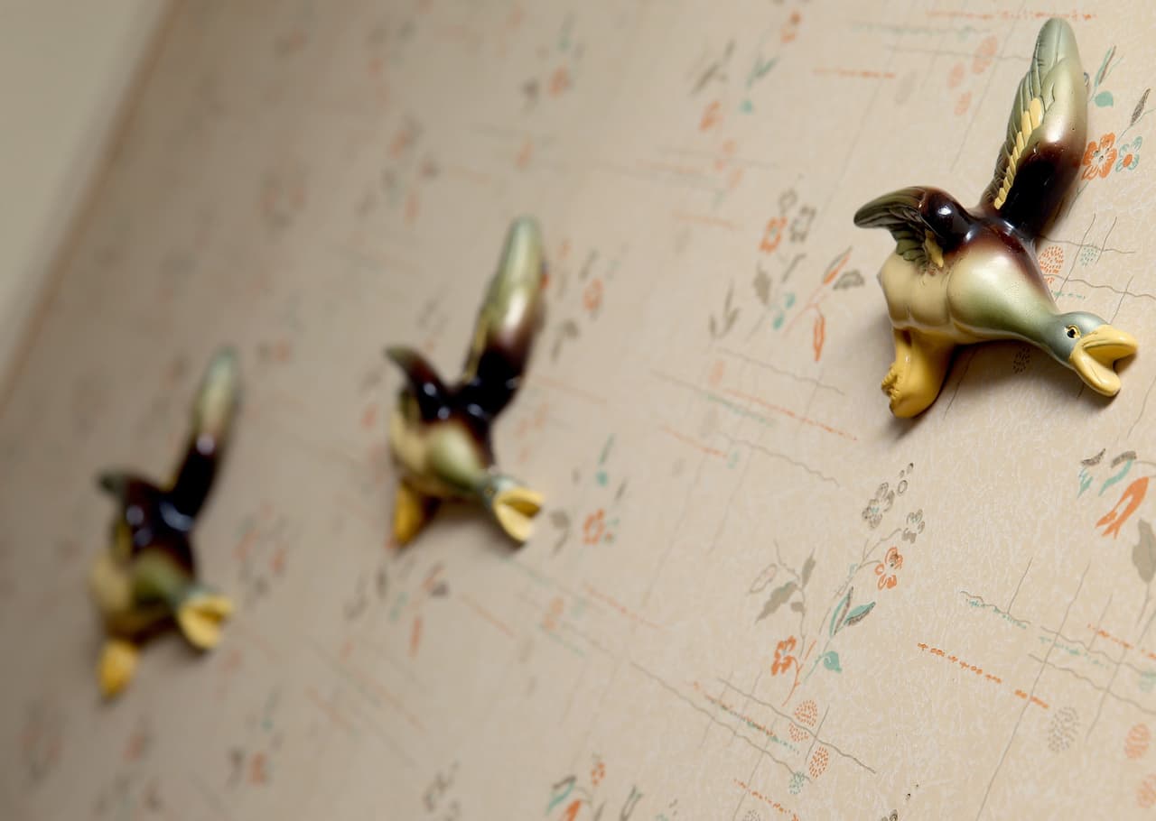 Estos patitos en las paredes serían la envidia de muchos.