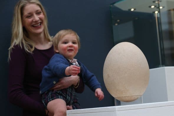 La identidad de su comprador no ha trascendido al público.