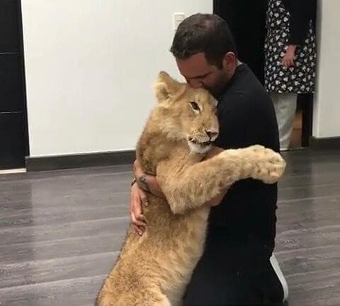 Lewis y Eduardo Serio