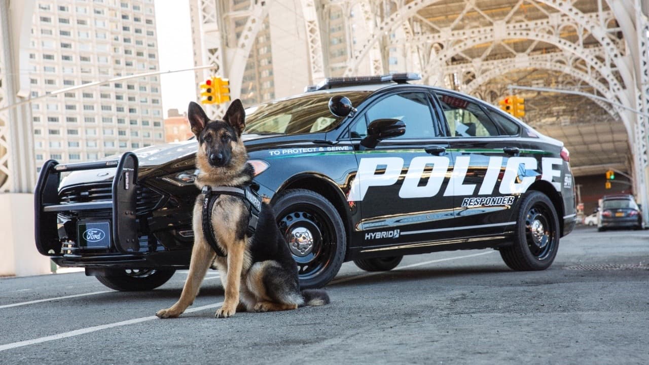 Finalmente llega el primer vehículo de persecución policial híbrido