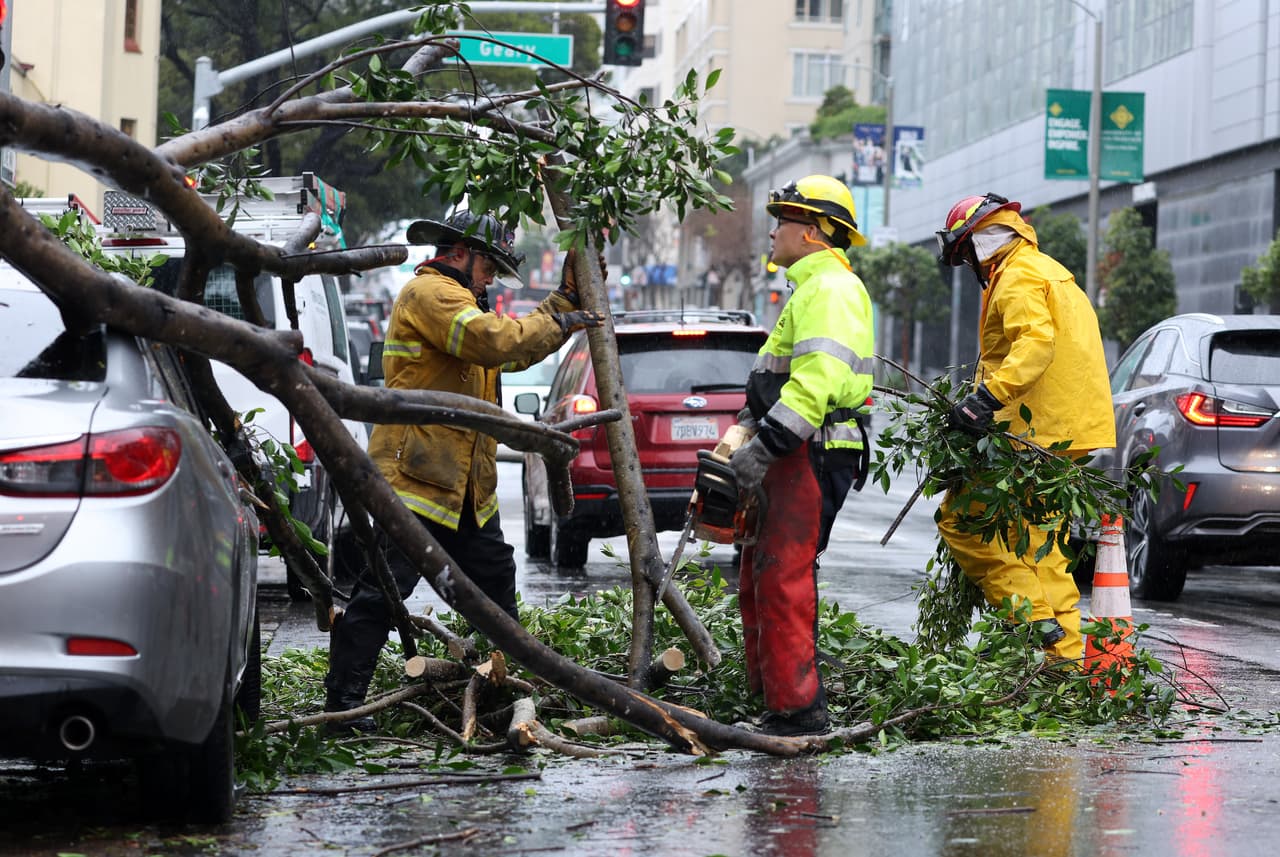 Durante una tormenta podría haber mayor riesgo de que alguna persona resulte lesionada en caso de que un árbol caiga sobre una vivienda o vehículo.
<br>