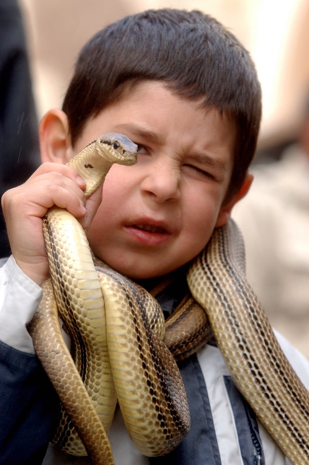 La tradición dice que el santo tiene poderes de curación y además protege contra las picaduras de serpientes y hasta de la rabia. Durante el espectáculo, los visitantes pueden tocar y agarrar a estos reptiles, como hace este niño, de solo 5 años, con uno de ellos.