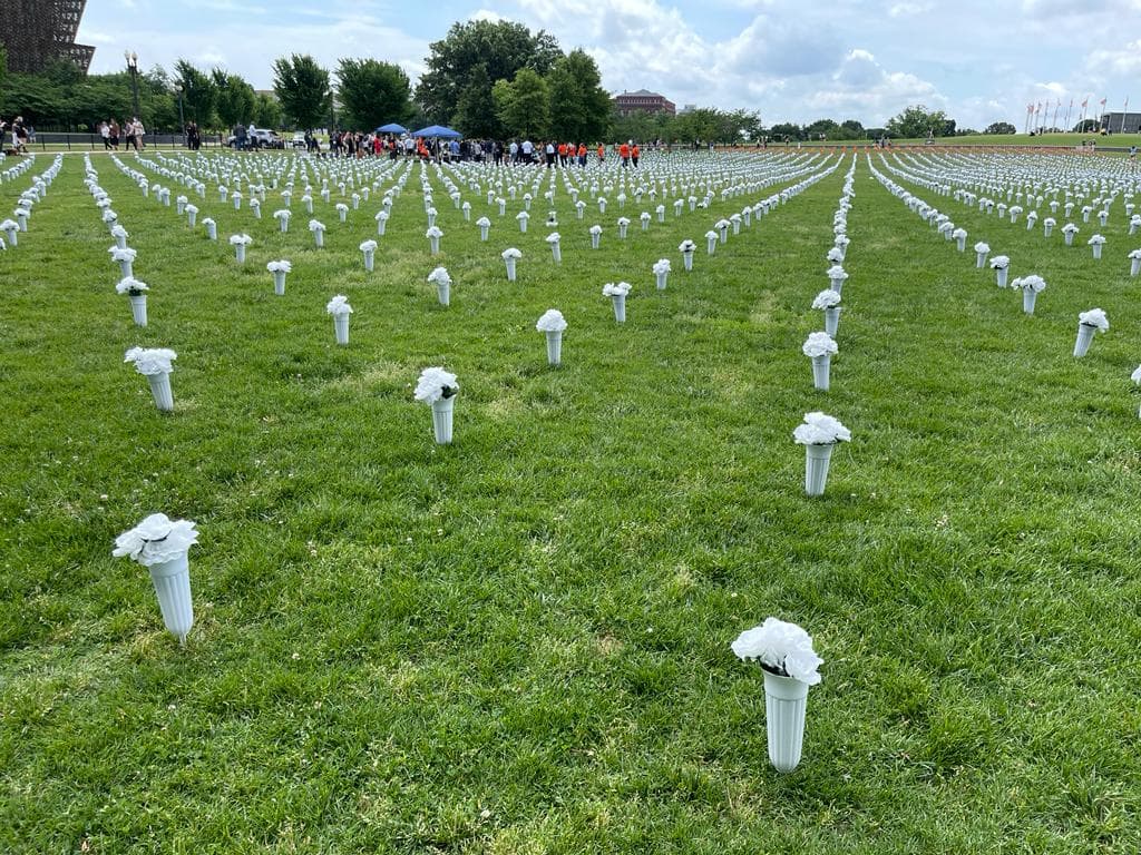 En 2021 se hizo una instalación similar con 40,000 flores blancas, en honor a las víctimas de 2020.