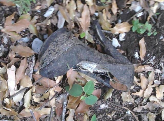 Zapatos, vestidos, documentos y otras cosas, fueron levantados del lugar del siniestro, incluso se comentó que hubo robo de pertenencias de los fallecidos por parte de dos policías, los cuales fueron detenidos.