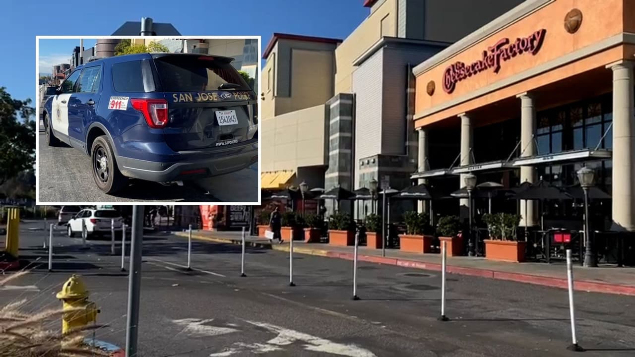 Esto fue lo que pasó en el Oakridge Mall y por qué se vieron tantos policías