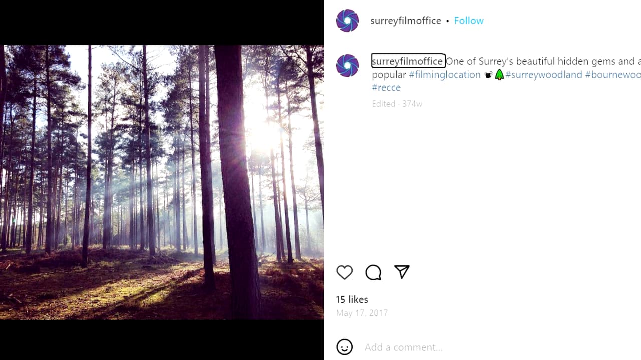 Bourne Wood en Farnham, Inglaterra.