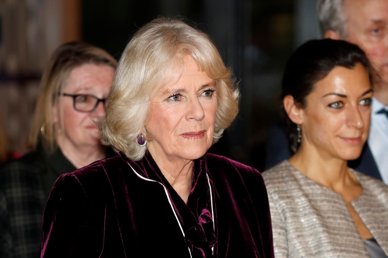 A pesar de que dicha visita sería histórica, no fue este hecho lo que causó revuelo, sino las declaraciones de Hale acerca de la supuesta opinión de Camilla sobre la comida cubana.
<br>