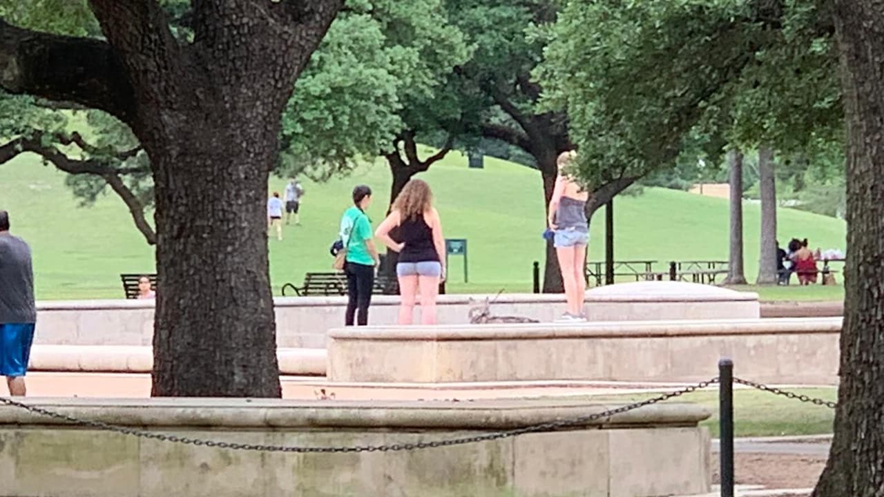 El alcalde Sylvester Turner, indicó que limitará el acceso a los parques de la ciudad durante el fin de semana y se invita a los residentes a caminar o andar en bicicleta ya que en algunos, no habrá acceso a los estacionamientos.