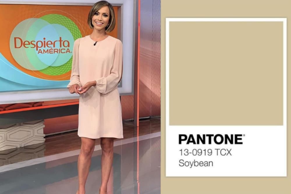 SOYBEAN.- Uno de los tonos neutros que veremos es este, que llega para ser el tono de elegancia en tu outfit.