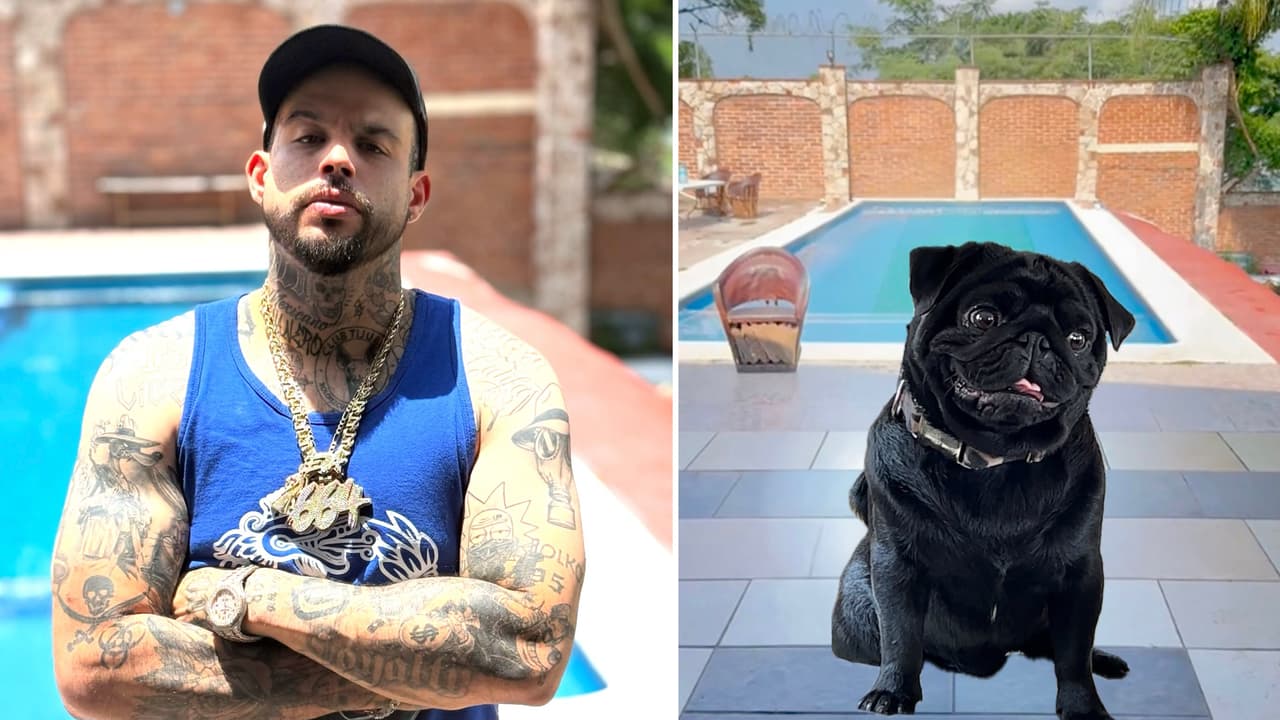 El 'post' salido desde la cuenta de 'El Gordo' Aguilar, mascota de Pepe, fue eliminada horas después de que fuera interpretada por muchos como supuesta burla hacia Emiliano Aguilar, quien ha criticado recientes declaraciones de su padre.