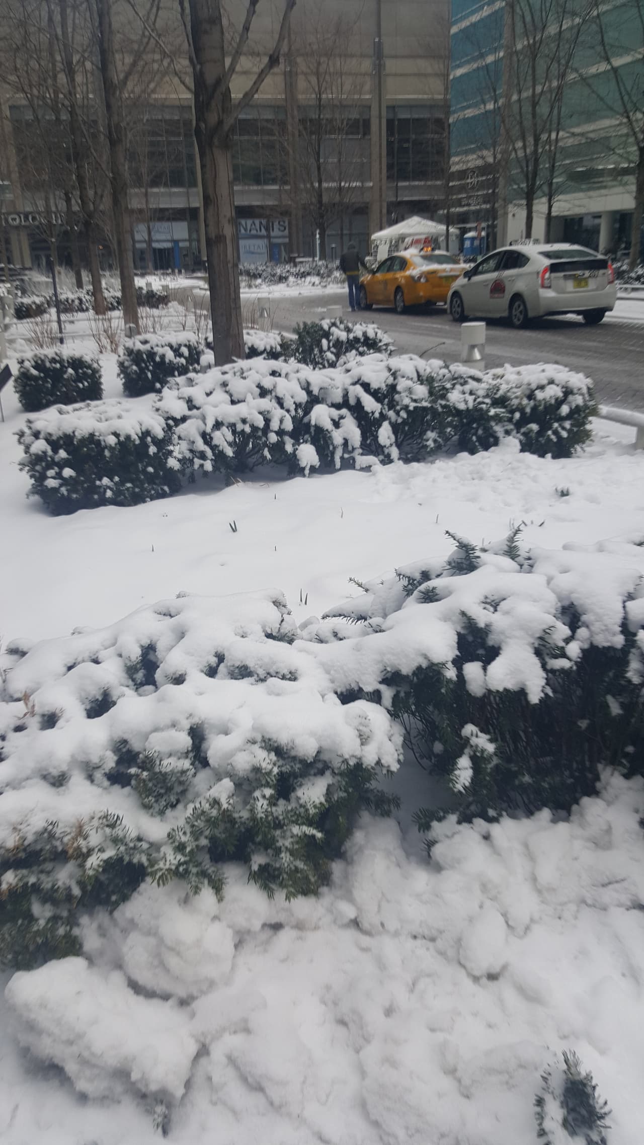 En enero y febrero no cayó nieve mensurable en la ciudad de Chicago, algo que no había sucedido en más de un siglo.